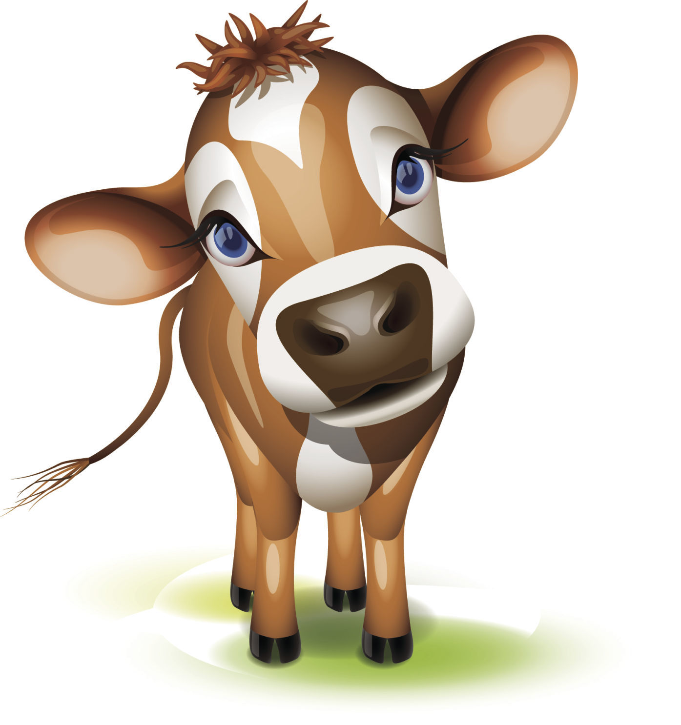 Belknap County 4-H Fair